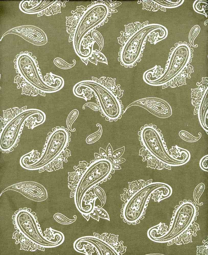 NFE210417-009 OLIVE DTY BRUSHED PRINTS ETHNIC GREEN ITEMS