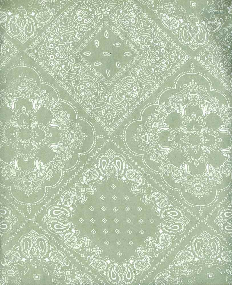 NFE210119C-009 SAGE/OFFWHITE DTY BRUSHED PRINTS ETHNIC GREEN ITEMS IVORY NEW ARRIVALS